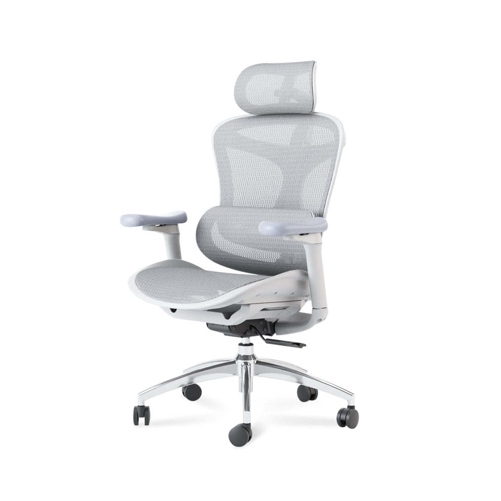 SIHOO  DORO C300 オフィスチェア