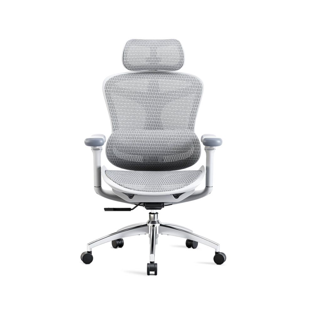 SIHOO  DORO C300 オフィスチェア