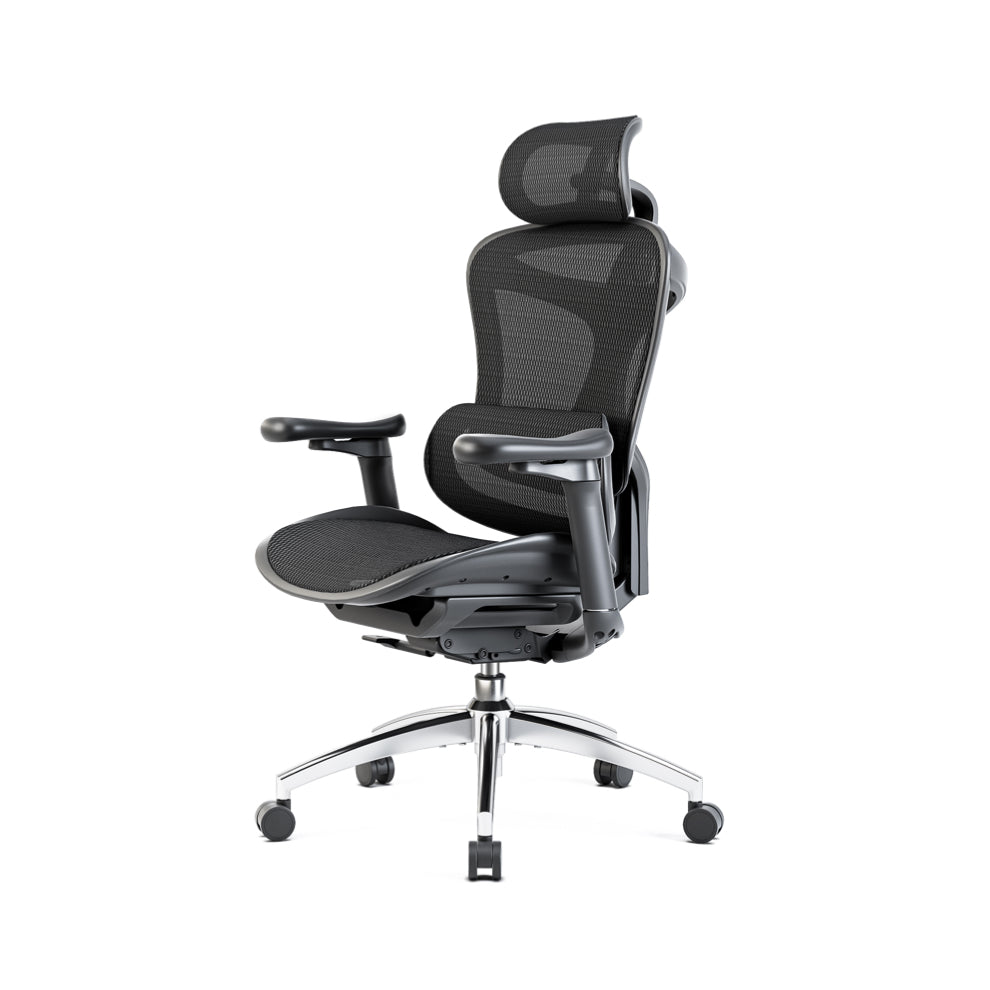 SIHOO  DORO C300 オフィスチェア