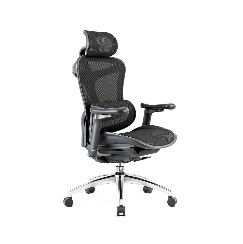 SIHOO  DORO C300 オフィスチェア